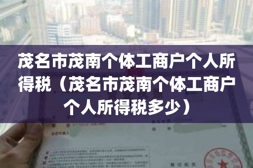 茂名市茂南个体工商户个人所得税（茂名市茂南个体工商户个人所得税多少）