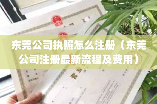 东莞公司执照怎么注册（东莞公司注册最新流程及费用）