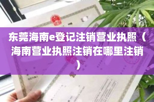 东莞海南e登记注销营业执照（海南营业执照注销在哪里注销）