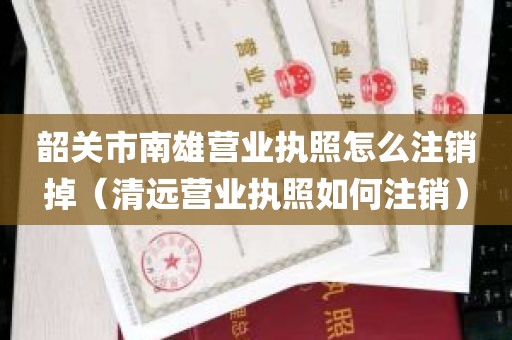 韶关市南雄营业执照怎么注销掉（清远营业执照如何注销）