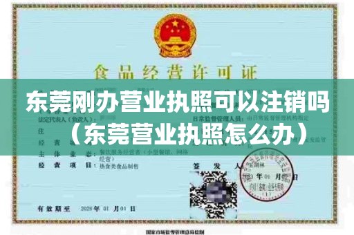 东莞刚办营业执照可以注销吗（东莞营业执照怎么办）