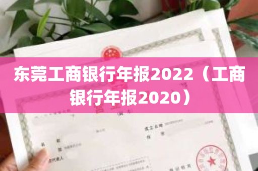 东莞工商银行年报2022（工商银行年报2020）