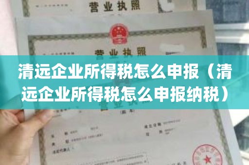 清远企业所得税怎么申报（清远企业所得税怎么申报纳税）