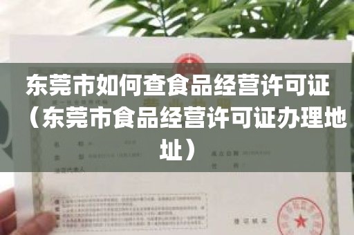 东莞市如何查食品经营许可证（东莞市食品经营许可证办理地址）