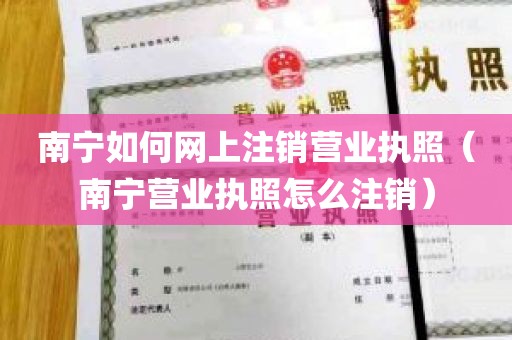 南宁如何网上注销营业执照（南宁营业执照怎么注销）
