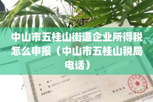 中山市五桂山街道企业所得税怎么申报（中山市五桂山税局电话）