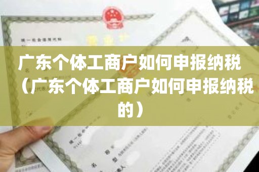 广东个体工商户如何申报纳税（广东个体工商户如何申报纳税的）