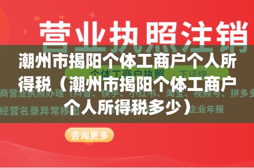 潮州市揭阳个体工商户个人所得税（潮州市揭阳个体工商户个人所得税多少）