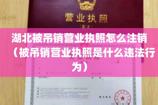 湖北被吊销营业执照怎么注销（被吊销营业执照是什么违法行为）