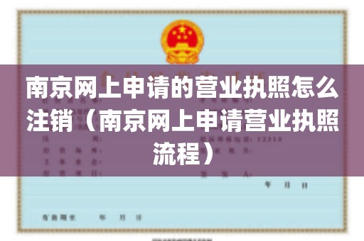 南京网上申请的营业执照怎么注销（南京网上申请营业执照流程）