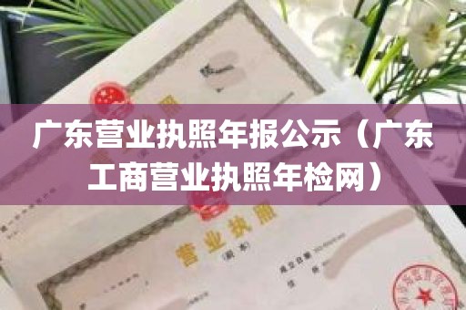 广东营业执照年报公示（广东工商营业执照年检网）