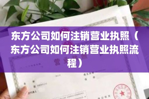 东方公司如何注销营业执照（东方公司如何注销营业执照流程）