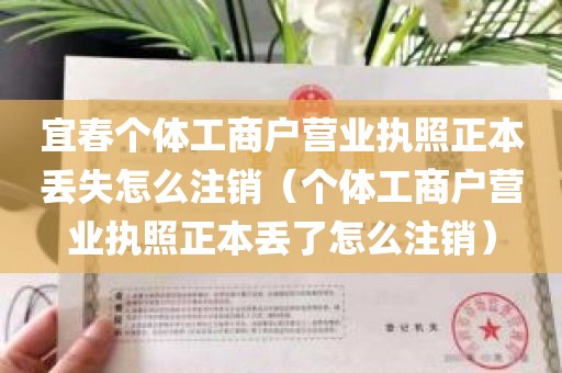 宜春个体工商户营业执照正本丢失怎么注销（个体工商户营业执照正本丢了怎么注销）