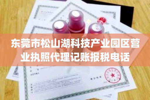 东莞市松山湖科技产业园区营业执照代理记账报税电话