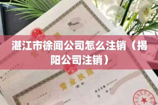 湛江市徐闻公司怎么注销（揭阳公司注销）