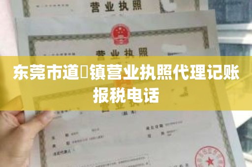 东莞市道滘镇营业执照代理记账报税电话