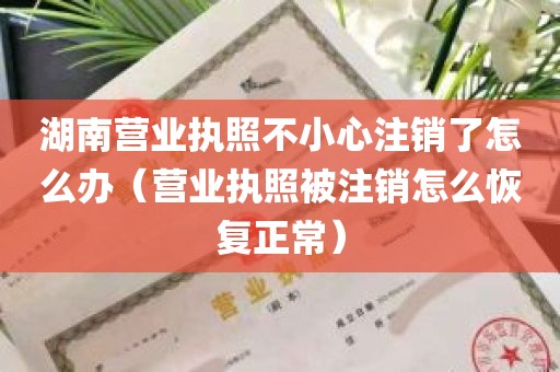 湖南营业执照不小心注销了怎么办（营业执照被注销怎么恢复正常）