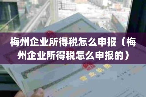 梅州企业所得税怎么申报（梅州企业所得税怎么申报的）