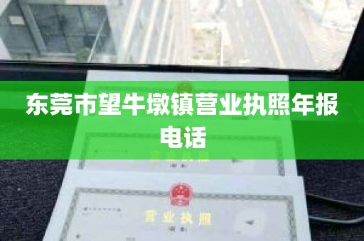 东莞市望牛墩镇营业执照年报电话