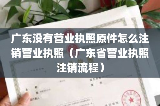 广东没有营业执照原件怎么注销营业执照（广东省营业执照注销流程）