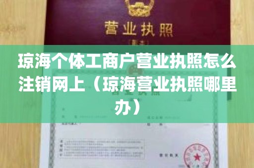 琼海个体工商户营业执照怎么注销网上（琼海营业执照哪里办）
