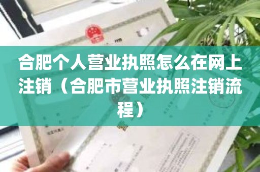 合肥个人营业执照怎么在网上注销（合肥市营业执照注销流程）