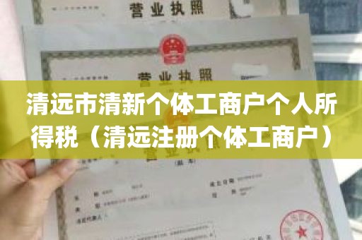 清远市清新个体工商户个人所得税（清远注册个体工商户）