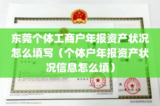 东莞个体工商户年报资产状况怎么填写（个体户年报资产状况信息怎么填）