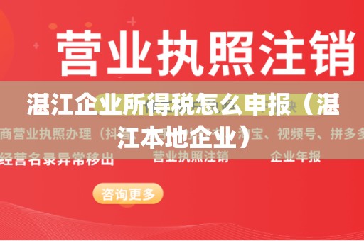 湛江企业所得税怎么申报（湛江本地企业）