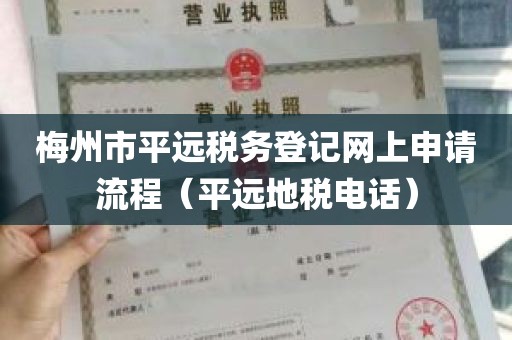 梅州市平远税务登记网上申请流程（平远地税电话）