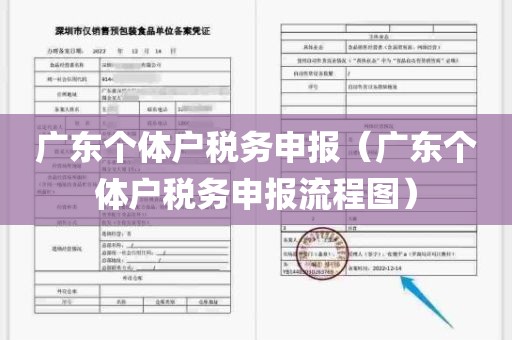 广东个体户税务申报（广东个体户税务申报流程图）