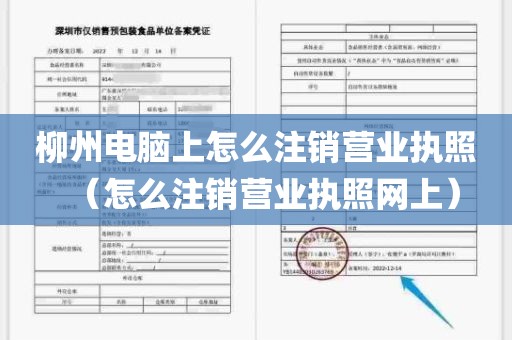 柳州电脑上怎么注销营业执照（怎么注销营业执照网上）