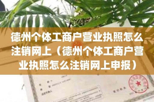 德州个体工商户营业执照怎么注销网上（德州个体工商户营业执照怎么注销网上申报）