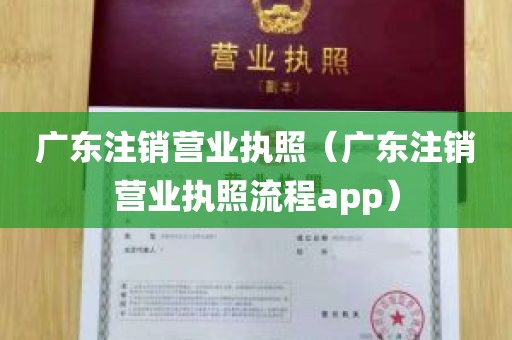 广东注销营业执照（广东注销营业执照流程app）