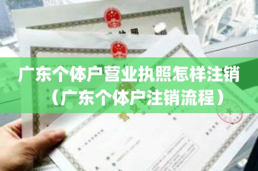 广东个体户营业执照怎样注销（广东个体户注销流程）