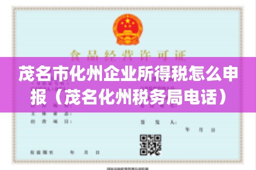 茂名市化州企业所得税怎么申报（茂名化州税务局电话）