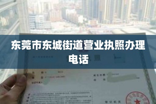 东莞市东城街道营业执照办理电话