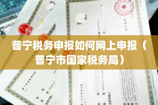 普宁税务申报如何网上申报（普宁市国家税务局）