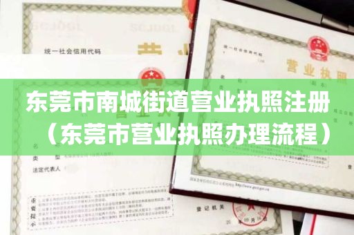 东莞市南城街道营业执照注册（东莞市营业执照办理流程）