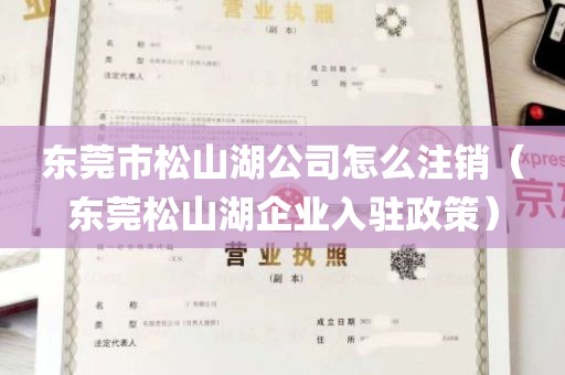 东莞市松山湖公司怎么注销（东莞松山湖企业入驻政策）