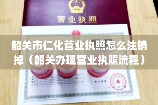 韶关市仁化营业执照怎么注销掉（韶关办理营业执照流程）