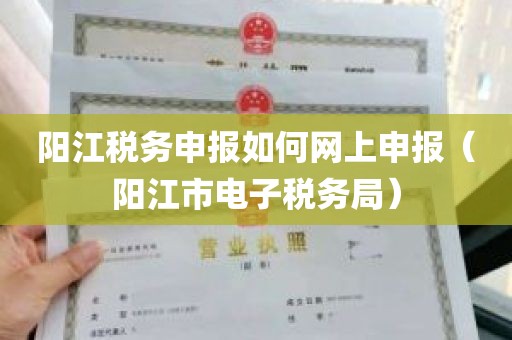 阳江税务申报如何网上申报（阳江市电子税务局）