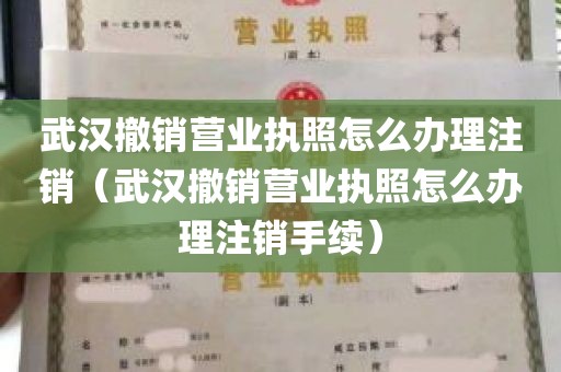 武汉撤销营业执照怎么办理注销（武汉撤销营业执照怎么办理注销手续）