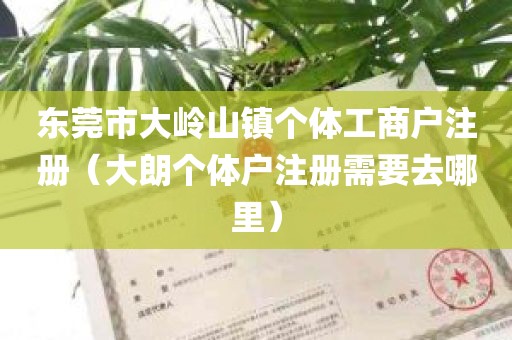 东莞市大岭山镇个体工商户注册（大朗个体户注册需要去哪里）