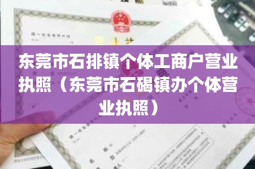 东莞市石排镇个体工商户营业执照（东莞市石碣镇办个体营业执照）