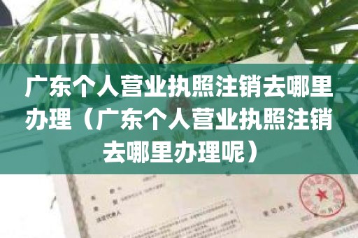 广东个人营业执照注销去哪里办理（广东个人营业执照注销去哪里办理呢）