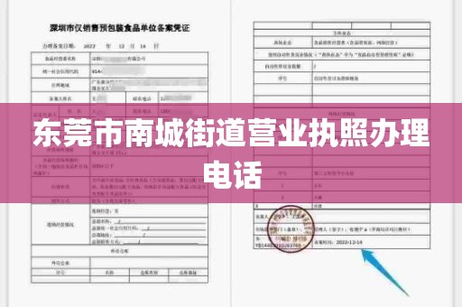 东莞市南城街道营业执照办理电话