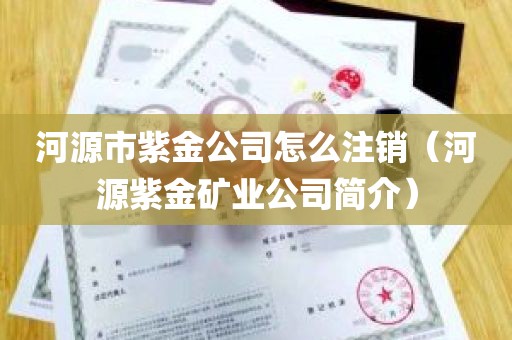 河源市紫金公司怎么注销（河源紫金矿业公司简介）