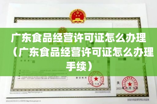 广东食品经营许可证怎么办理（广东食品经营许可证怎么办理手续）
