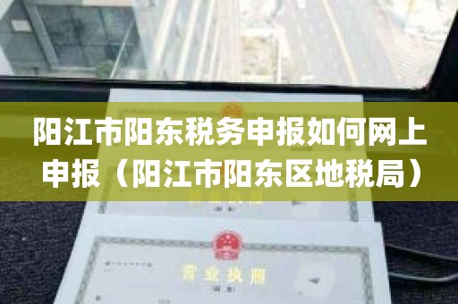阳江市阳东税务申报如何网上申报（阳江市阳东区地税局）